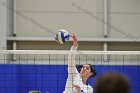 Volleyball vs Babson  Wheaton Women's Volleyball vs Babson College. - Photo by Keith Nordstrom : Wheaton, Volleyball, VB